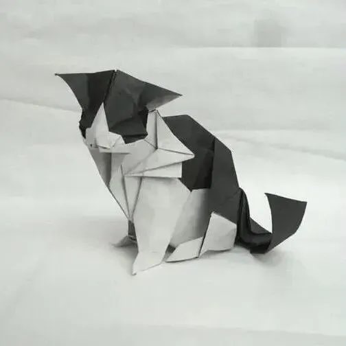 고양이 종이접기