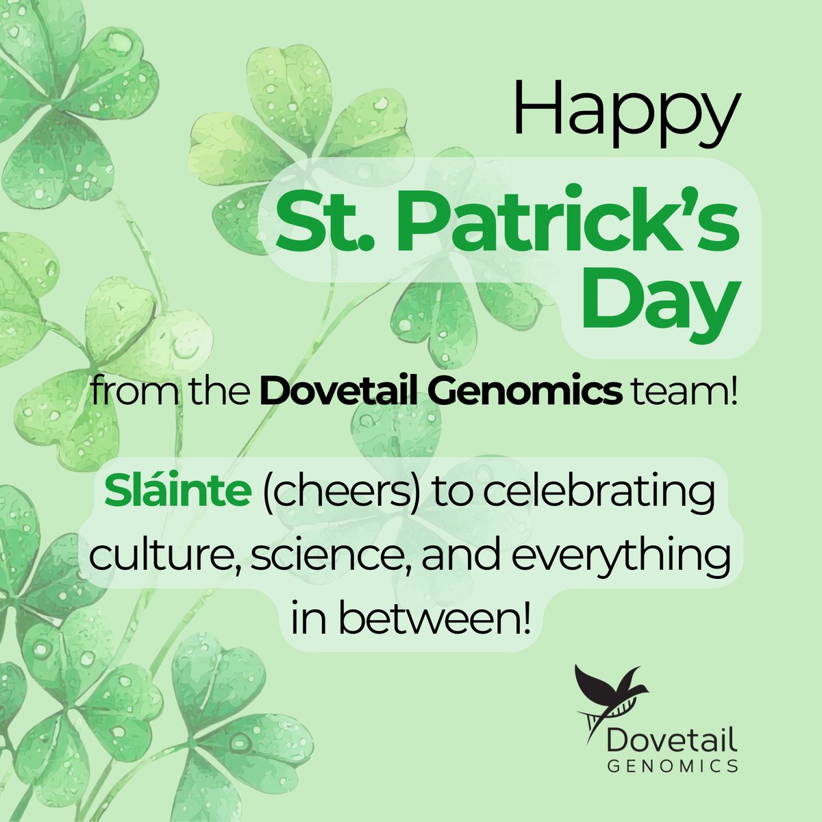☘️ Happy St. Patrick’s Day! ☘️

A genome assembly—powered by Omni-C—of white clover (Trifolium repens), a species linked to shamrocks, revealed how copy number variants at cyanogenesis loci shape its adaptation &amp; defense.

🔬 Learn more: ow.ly/efwW50VcwS5

Sláinte! 🍻