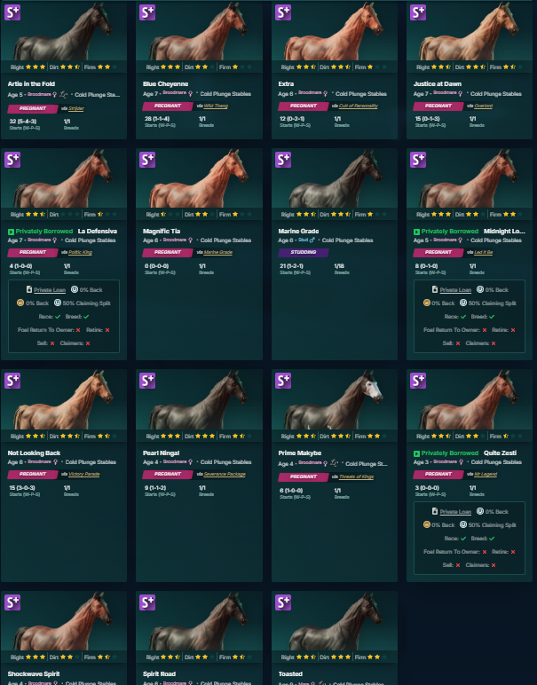 Cold Plunge Capital (@coldplungecap) on Twitter photo Was able to hit all my studs on my target list this morning! Really excited to see reveal in a few weeks and laying the foundation for Cold Plunge Stables!
If you aren't in <a href="/photofinishgame/">Photo Finish™ LIVE 🌹 🐎 Virtual Horse Racing</a> missing best Web3 gaming experience around. Was able to hit all my studs on my target list this morning! Really excited to see reveal in a few weeks and laying the foundation for Cold Plunge Stables!
If you aren't in <a href="/photofinishgame/">Photo Finish™ LIVE 🌹 🐎 Virtual Horse Racing</a> missing best Web3 gaming experience around.
