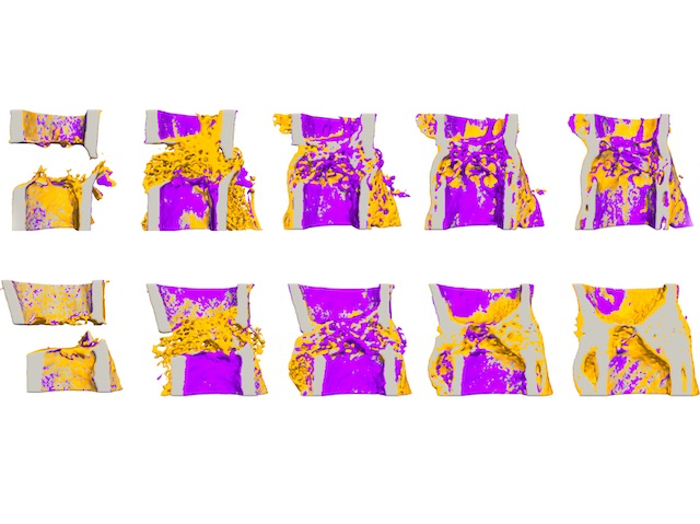 Biomedical Picture of the Day BPoD (@bpod_s) on Twitter photo Make a Break: Using spatial transcriptomics to study mechano-regulation of fracture healing
📷: Neashan Mathavan et al <a href="/eth_bone/">Ralph Müller</a> lab <a href="/ETH/">ETH Zürich</a>
in <a href="/ScienceAdvances/">Science Advances</a>
➡️: bpod.org.uk/archive/2025/3… with <a href="/DrJohnAnkers/">John Ankers</a> Make a Break: Using spatial transcriptomics to study mechano-regulation of fracture healing
📷: Neashan Mathavan et al <a href="/eth_bone/">Ralph Müller</a> lab <a href="/ETH/">ETH Zürich</a>
in <a href="/ScienceAdvances/">Science Advances</a>
➡️: bpod.org.uk/archive/2025/3… with <a href="/DrJohnAnkers/">John Ankers</a>