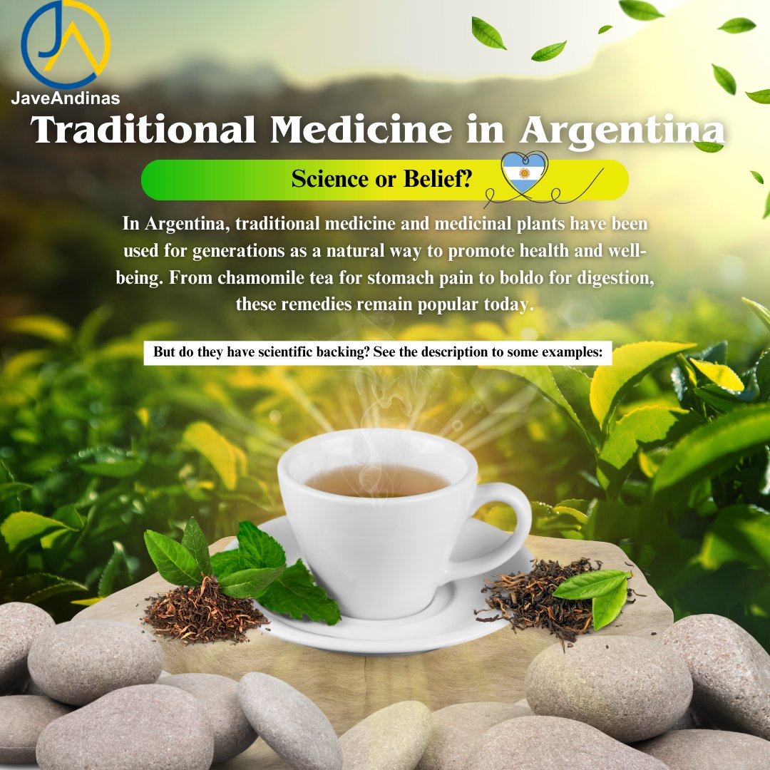JaveAndinas's tweet photo. Traditional medicine has been used for centuries as a natural approach to health and wellness. In Argentina, medicinal plants like chamomile, boldo, and cedrón have been passed down through generations to treat digestive issues, anxiety, and inflammation. https://t.co/6jIONhlFKX