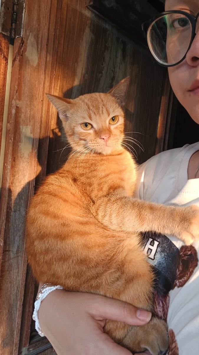 akujuga paling suka digendong kaya bayi giniii hihihi