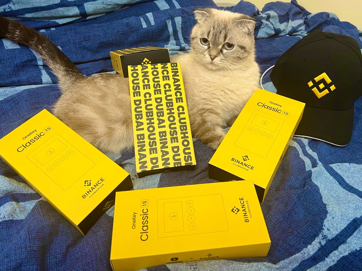 全体起立，复兴 BSC！
现在 BSC 哪个社区最强？
咱给这个社区空投几个硬件钱包囤币？

（图为去年我们和币安合作的限量联名）