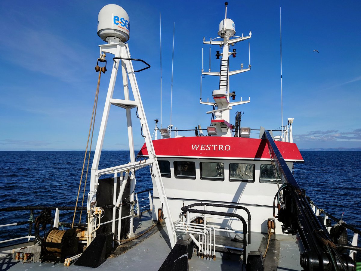 Back on the hunt! 🦐 Canna
 Never say never .
The sea calls🤙🏻 #westcoast #fishing