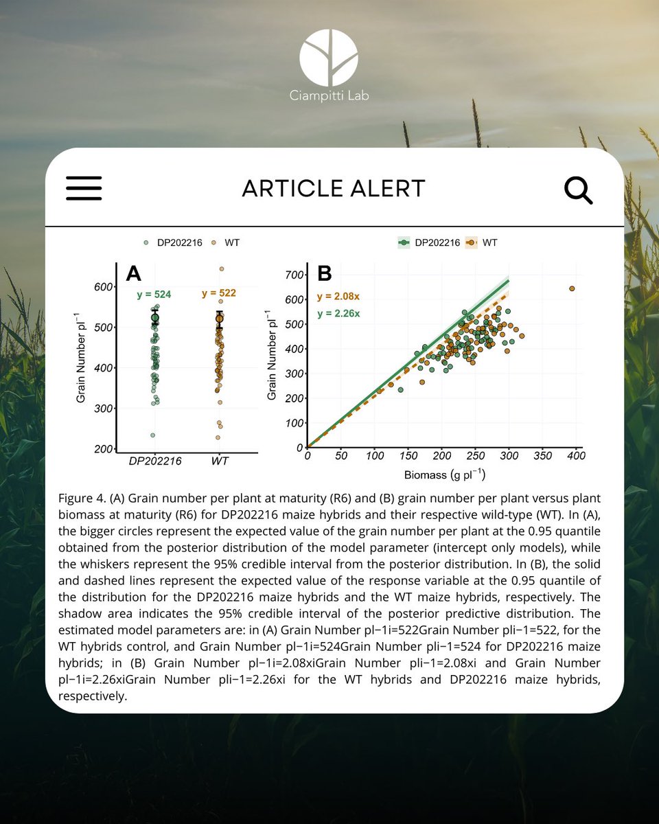 #ArticleAlert🚨
New research shows DP202216 maize hybrids enhance the potential of carbon &amp; nitrogen allocation, boosting harvest index (HI) by 2% &amp; NHI by 5%. DP202216 hybrids provide novel yield stability mechanisms by improving resource use efficiency
🔗bit.ly/4bwlGgH