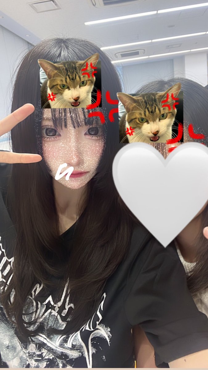 こんなに可愛いのに二浪で死にたい
#いいねで気になった人お迎え