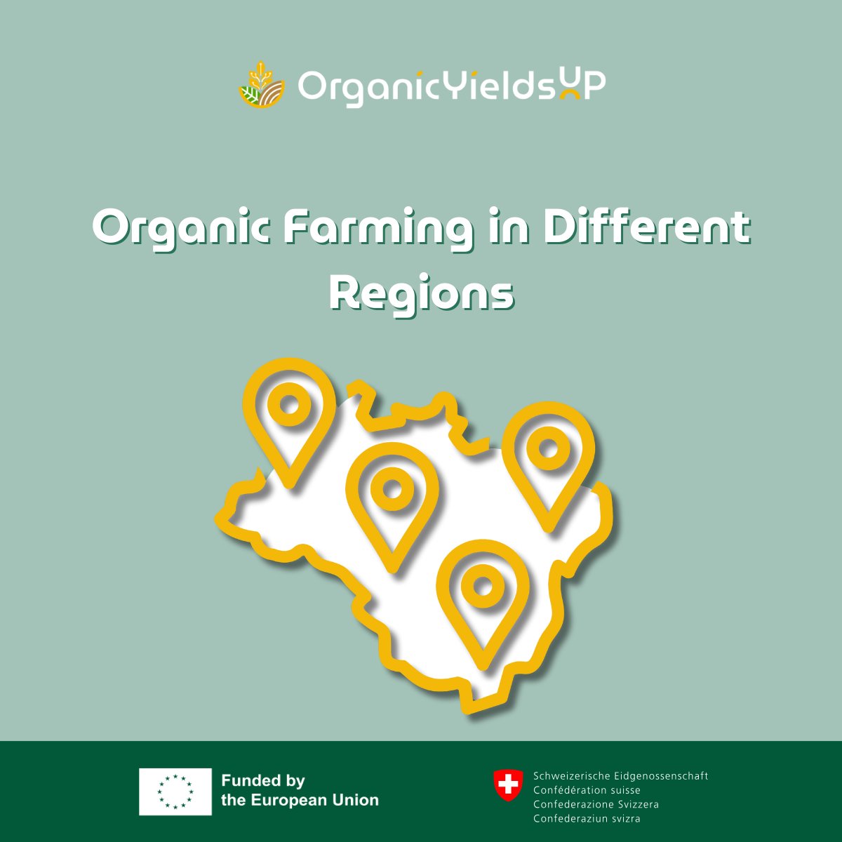 OrganicYieldsUP tweet media