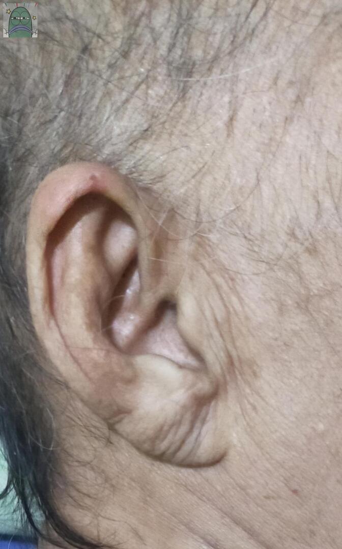 Tanyarlfes tweet media