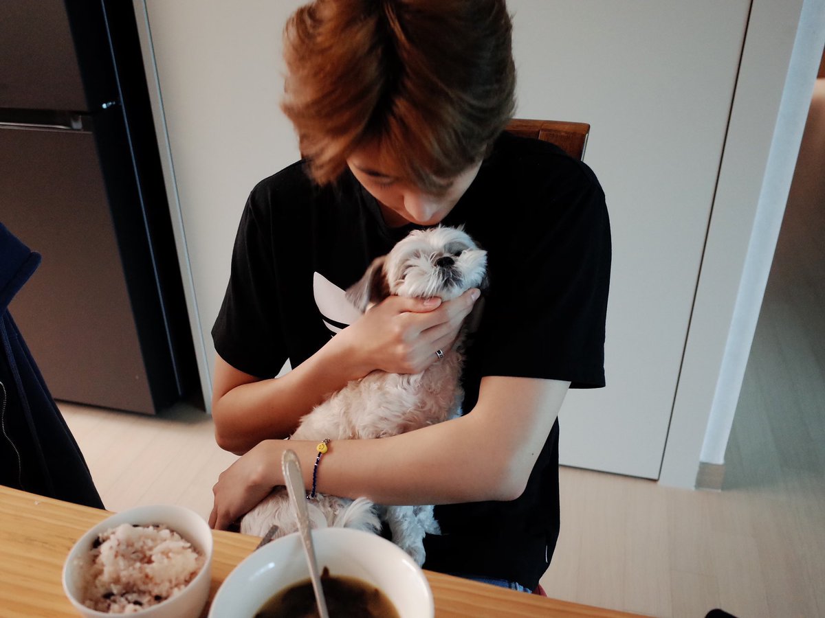꼬질이 동생 다롱이 생일 축하해 ᰔᩚ
세상에서 가장 귀여운 우리 다롱이 밥 많이 먹어