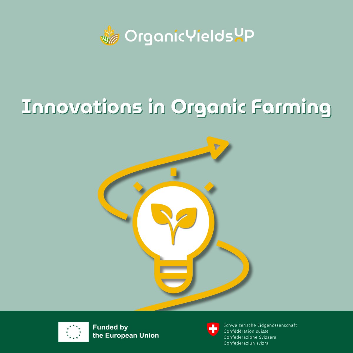 OrganicYieldsUP tweet media