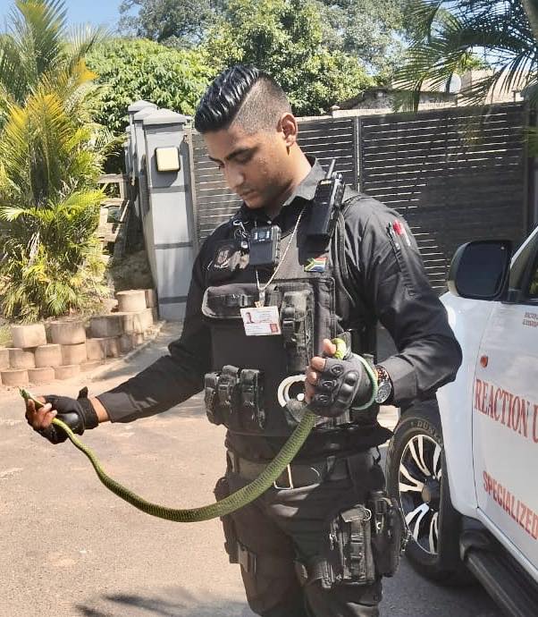 _ArriveAlive's tweet photo. Boomslang captured in Redcliffe https://t.co/0AwMAkK27I
#ArriveAlive #SnakeCaptured #Boomslang @ReactionUnitSA https://t.co/xcWn7Csm2O