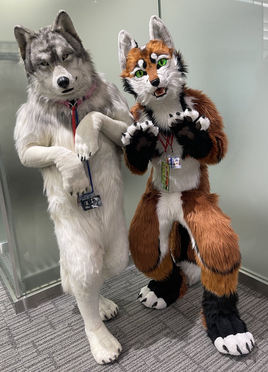 #FurryPark#ぱ

good friends♪💗