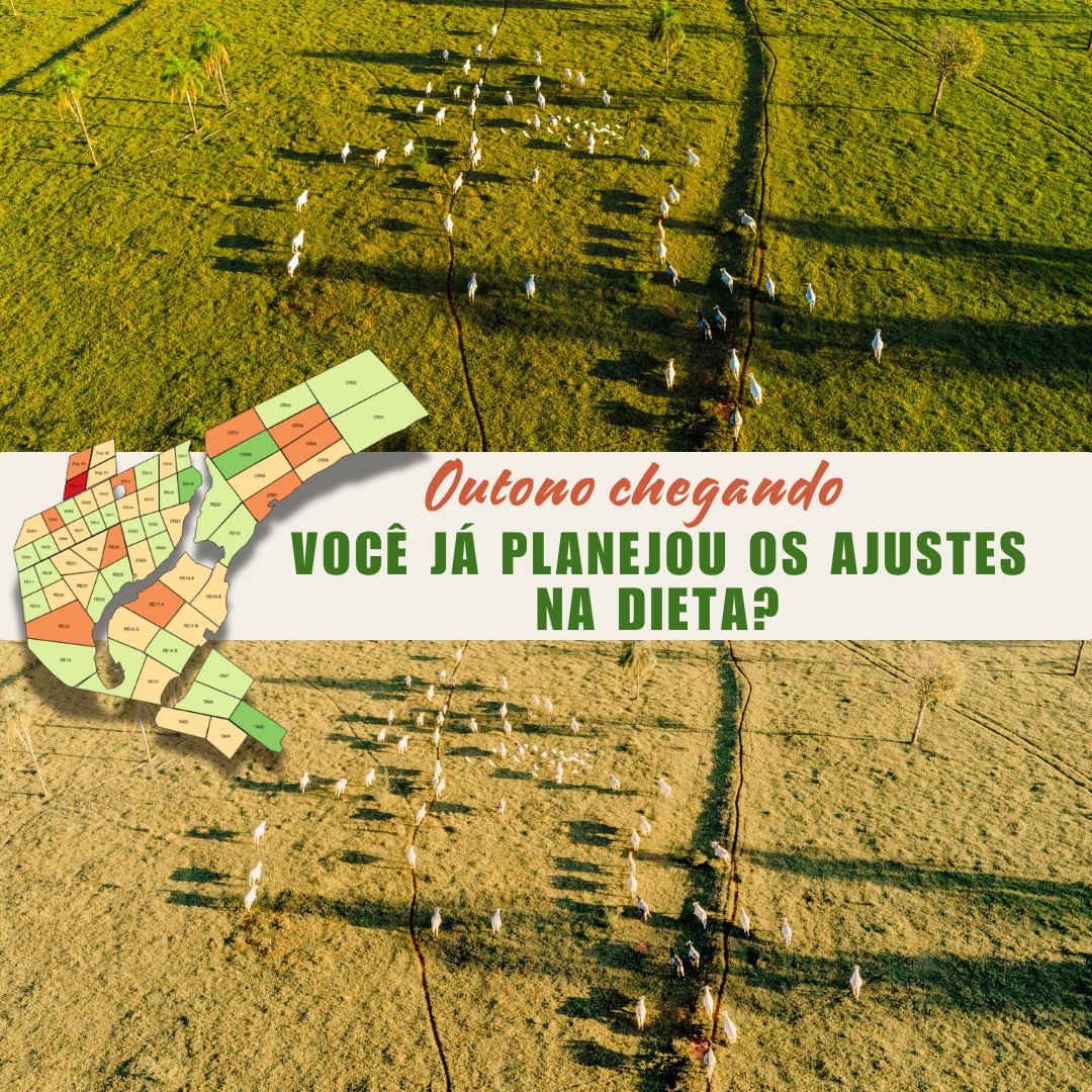 exagro's tweet photo. Outono chegou e, com ele, mudanças na estrutura e qualidade das pastagens. Agora é a hora de ajustar a suplementação do seu rebanho e garantir maiores ganhos para o seu negócio! Participe da nossa transmissão ao vivo hoje, às 20h, no YouTube: https://t.co/CUKd8xnskb https://t.co/ZpiSS3nOYD