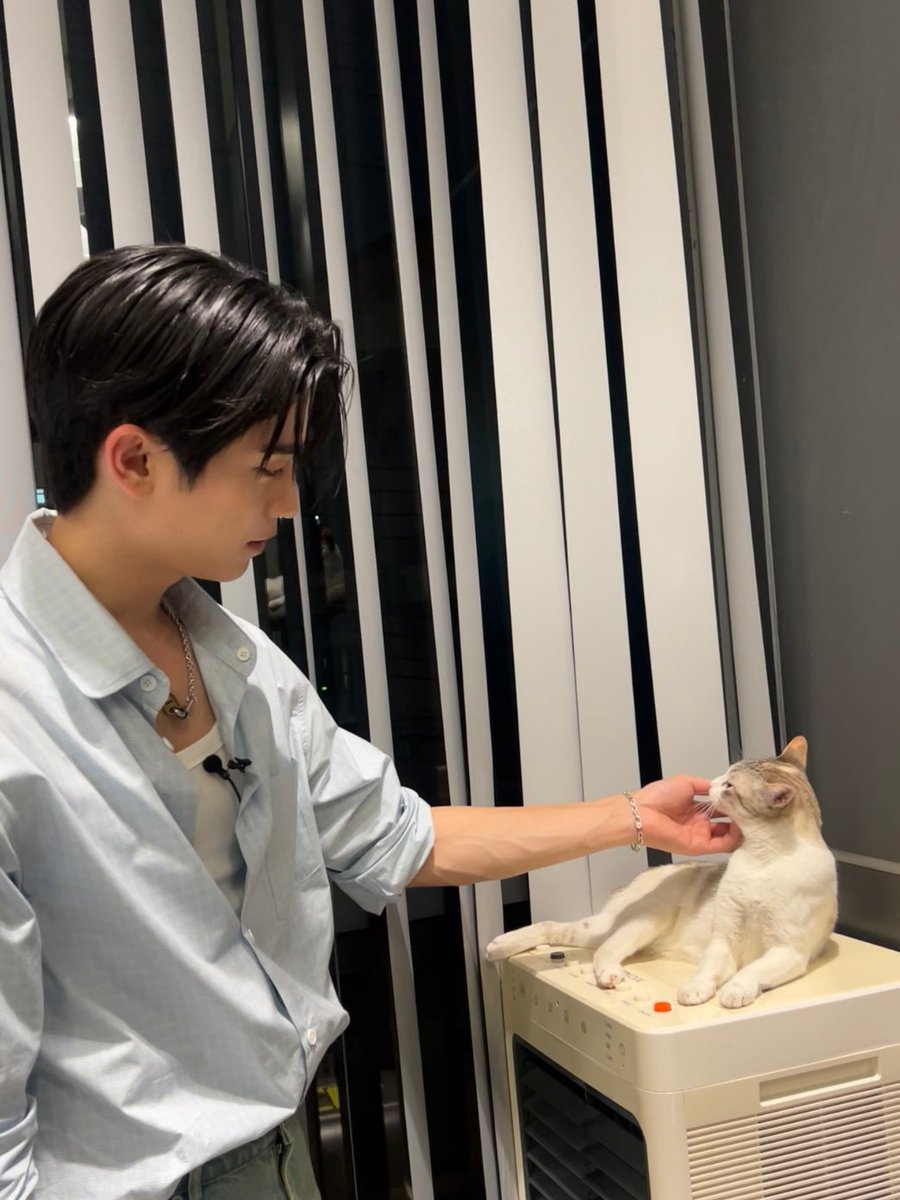 irelftn's tweet photo. กุเปนลิง https://t.co/KMrSVE32uL