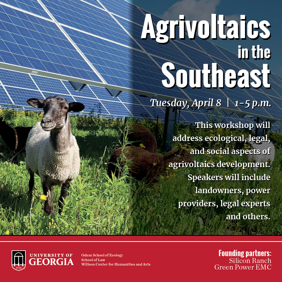 Join us! Agrivoltaics in the Southeast will address ecological, legal and social aspects of agrivoltaics and feature speakers including landowners, power providers, legal experts and more.

Tues., April 8, 1-5 p.m.
Dean Rusk Hall, Walker Room

Register: ecology.uga.edu/dvf2