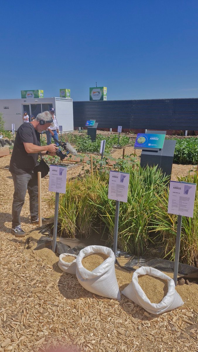 JoseColazo3's tweet photo. Cerca de la gente, cerca del campo argentino. Nuevamente representando a nuestra institución y a la cadena del arroz 🇦🇷🌾 en la Expoagro 2025 https://t.co/OFt7PPp97y