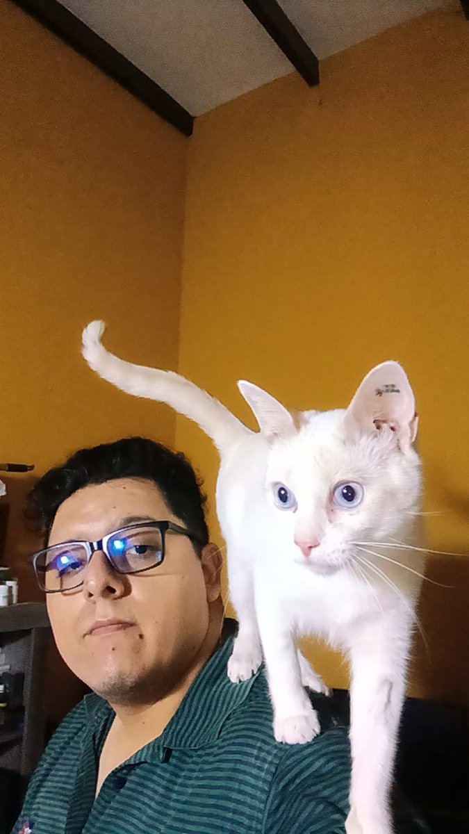 Silver Moon Purradise tweet media