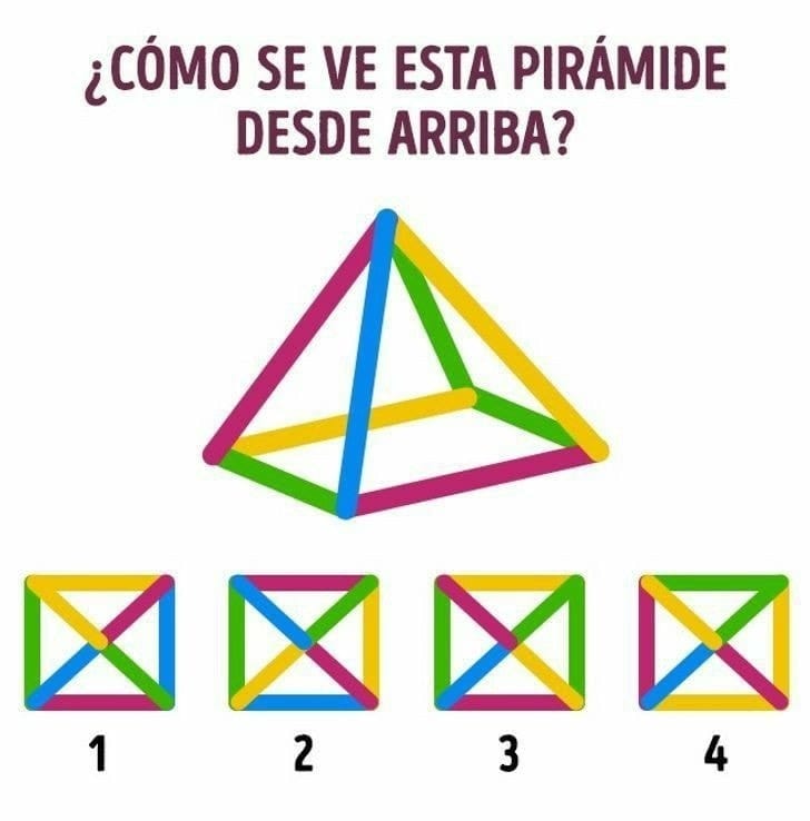 Enséñame de Ciencia tweet media