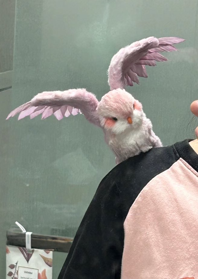 ♡ (@heart_jpg) on Twitter photo 