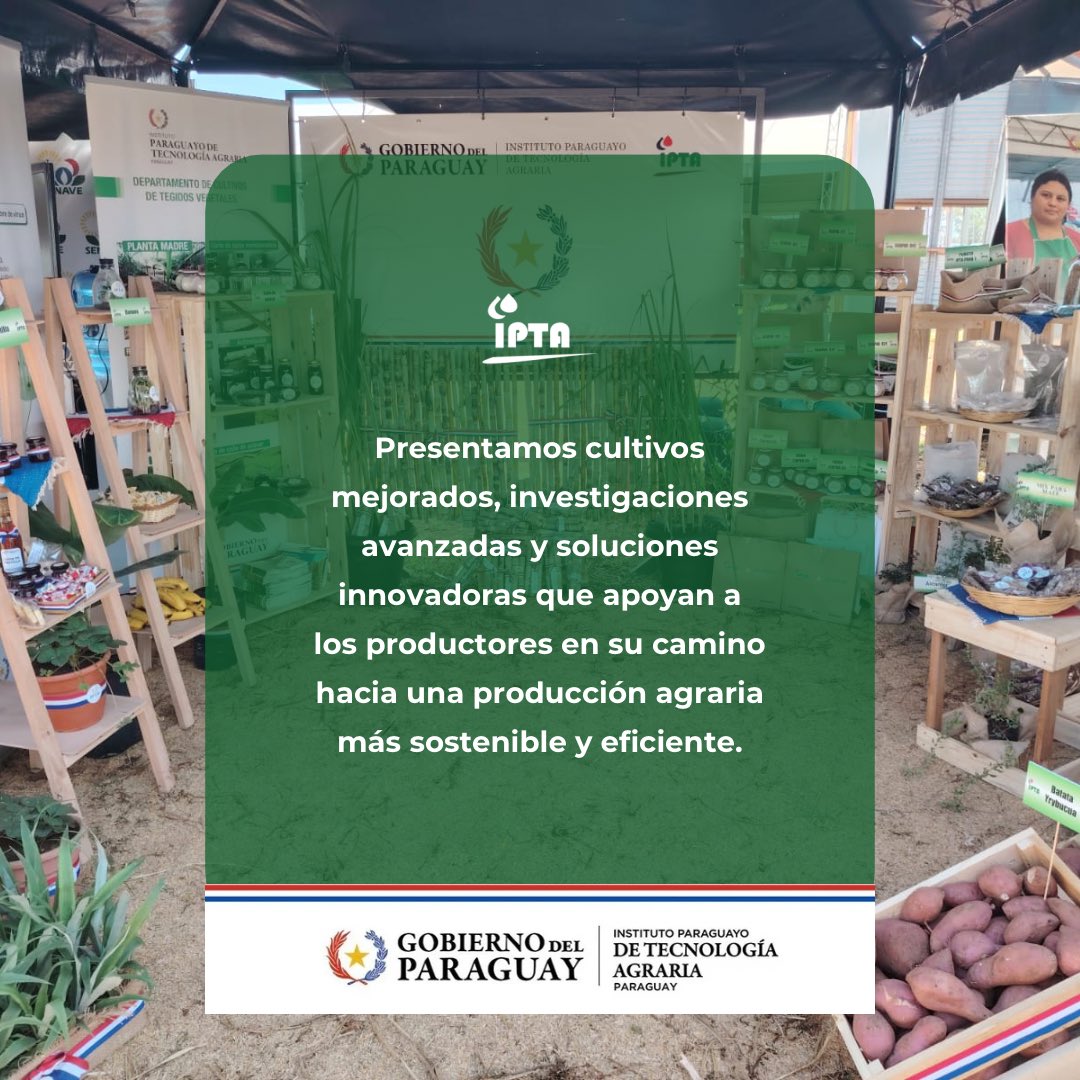 IPTA (@ipta_paraguay) on Twitter photo Este 2025, acompáñanos en el stand del sistema MAG en <a href="/innovarferia/">Innovar Feria Agropecuaria</a>
Te esperamos! Este 2025, acompáñanos en el stand del sistema MAG en <a href="/innovarferia/">Innovar Feria Agropecuaria</a>
Te esperamos!