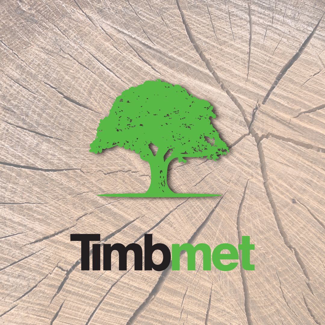 Timbmet 🌲🌳 tweet media