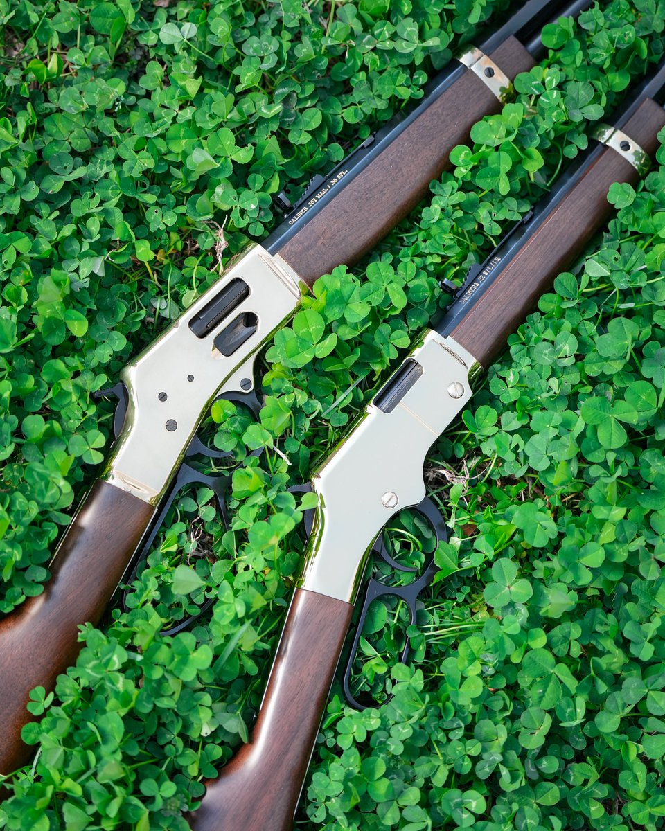 HenryRifles's tweet photo. POV: You found the end of the rainbow. 🍀

Happy St. Patrick’s Day to all of you in the Henry Family! https://t.co/TDFrJIJuEx