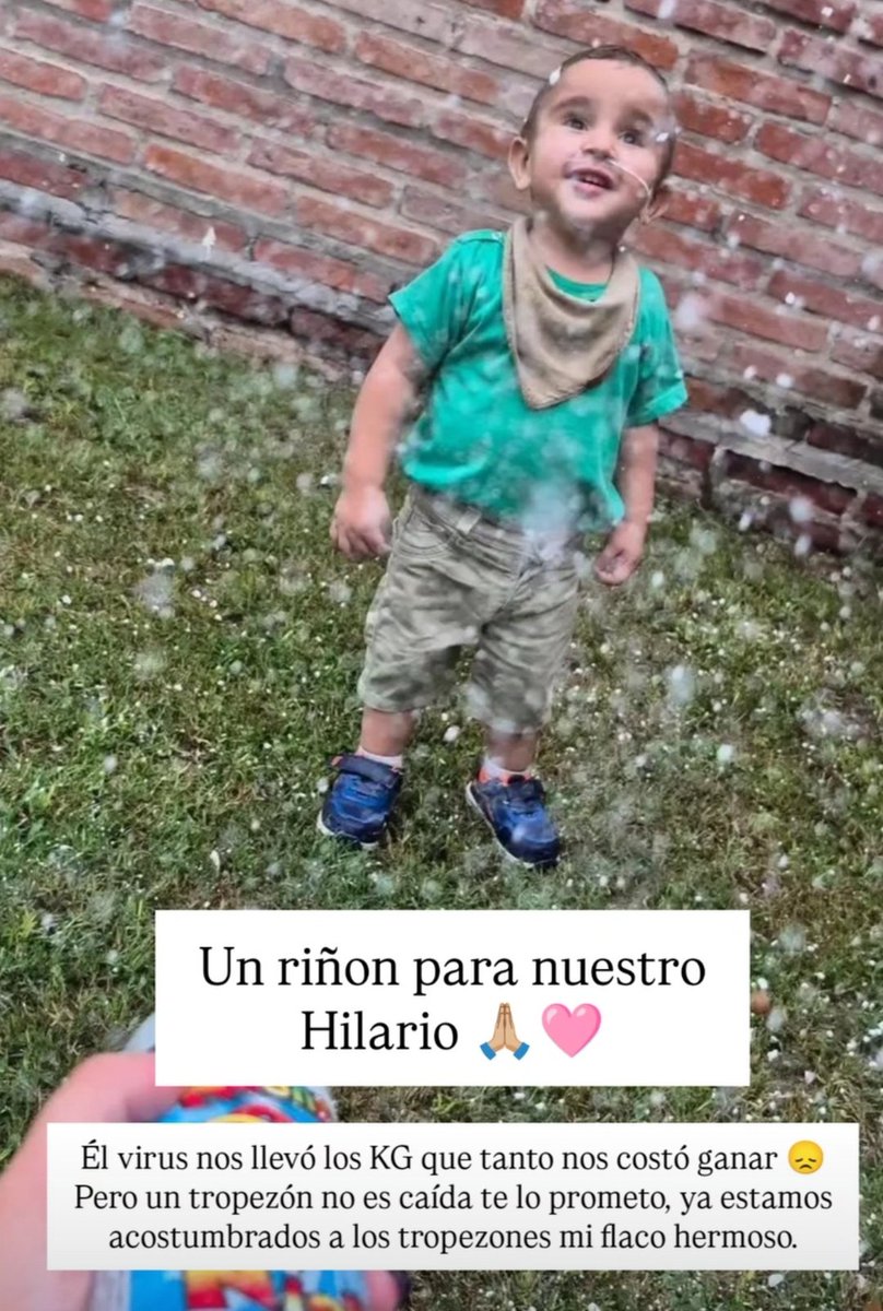 UN RIÑÓN PARA NUESTRO #HILARIO 🙏🏻💖

#DonaciónPediátrica 

Los órganos NO van al cielo