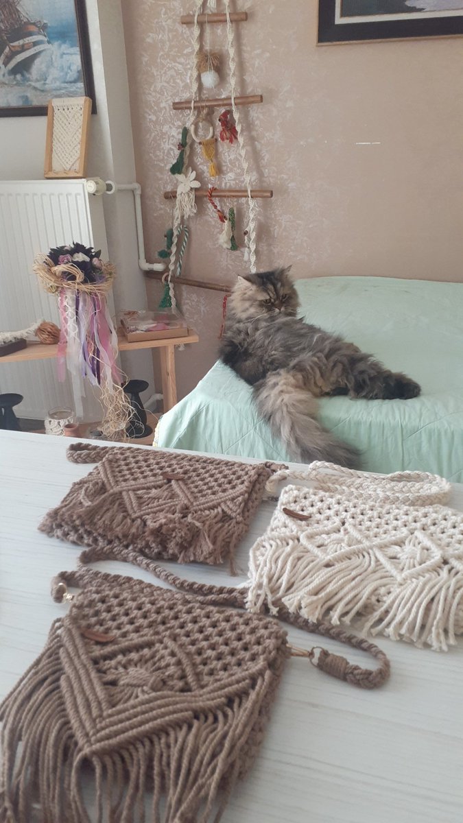 YBademsoy's tweet photo. Selamlar, üretirken hep yanimda her zaman yardımcı Çarli 😉
Selam söylüyor. 😁🐈🐈‍⬛🐈🐈‍⬛🐈
Bu arada cantalara da bakmayi ihmal etmeyin 🥰💃
#makromeçanta
Instagram/ https://t.co/evgFAOdv7e https://t.co/wndlw063nv