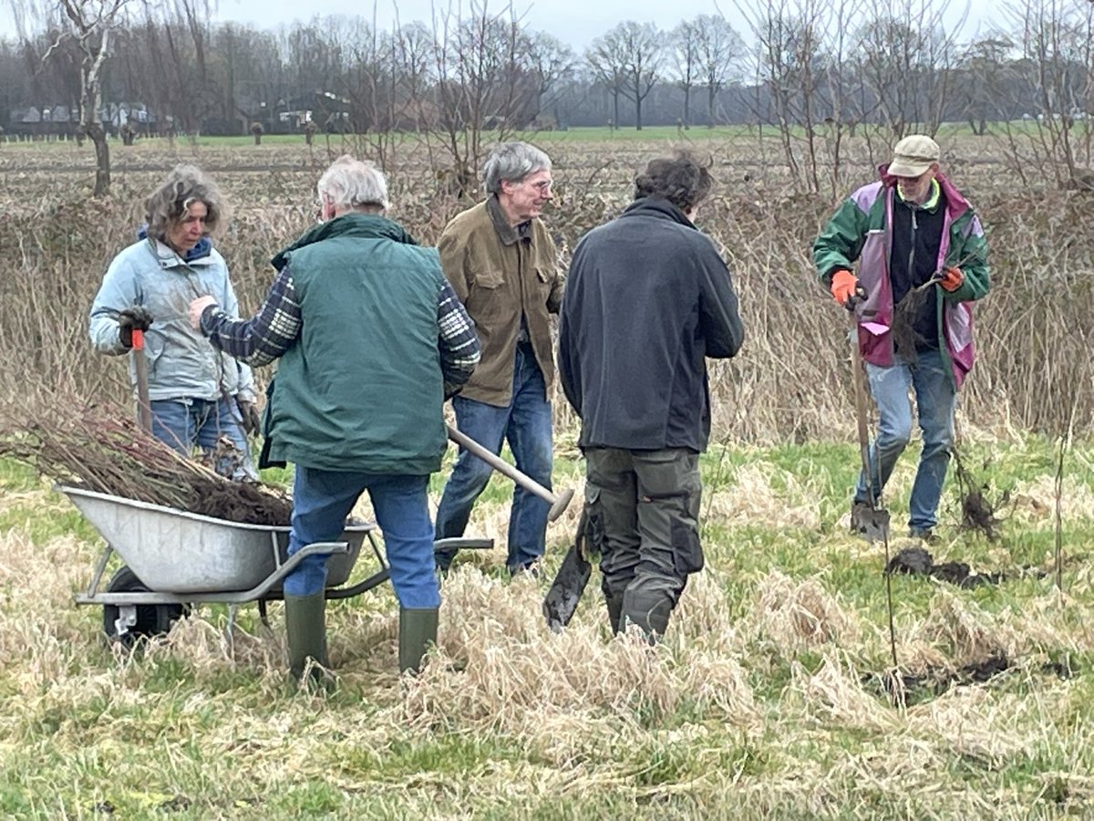 Het Groene Woud (@inhetgroenewoud) on Twitter photo Aanplant nieuwe natuur op de Everse Zoom in Sint-Oedenrode voltooid #inHetGroeneWoud <a href="/VanGoghNP/">Van Gogh Nationaal Park</a> hetgroenewoud.com/organisatie/ni… Aanplant nieuwe natuur op de Everse Zoom in Sint-Oedenrode voltooid #inHetGroeneWoud <a href="/VanGoghNP/">Van Gogh Nationaal Park</a> hetgroenewoud.com/organisatie/ni…