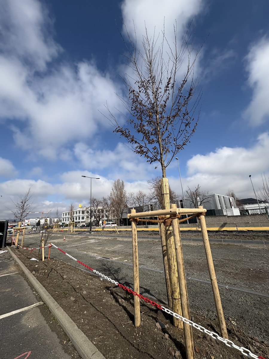 🌿 InspiRe : la végétalisation commence ! 🌳

Le projet InspiRe franchit une nouvelle étape avec la plantation, le 15 mars dernier, d’un “premier arbre” au square du Rassat, rue de l’Oradou à Clermont-Ferrand. Un geste symbolique qui marque le lancement du grand plan de