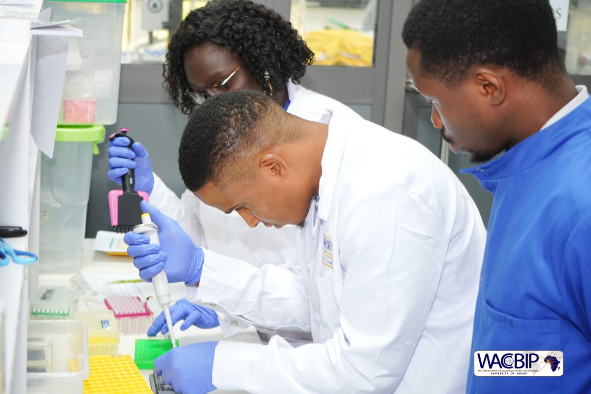 WACCBIP_UG's tweet image. In the wet lab, participants engage in hands-on DNA quantification, progressing through tagmentation and completing post-PCR cleanup. 
#Genomics #NGS #LabWork