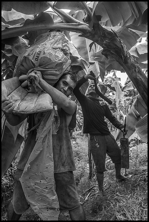 WHY IS THE WORLD BANK ATTACKING LAND REFORM IN THE PHILIPPINES?
By David Bacon
Dollars and Sense, 3/15/25
 dollarsandsense.org/archives/2025/…