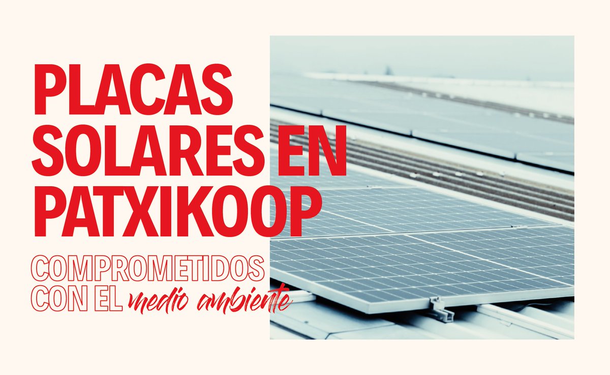 PatxiKoop tweet media