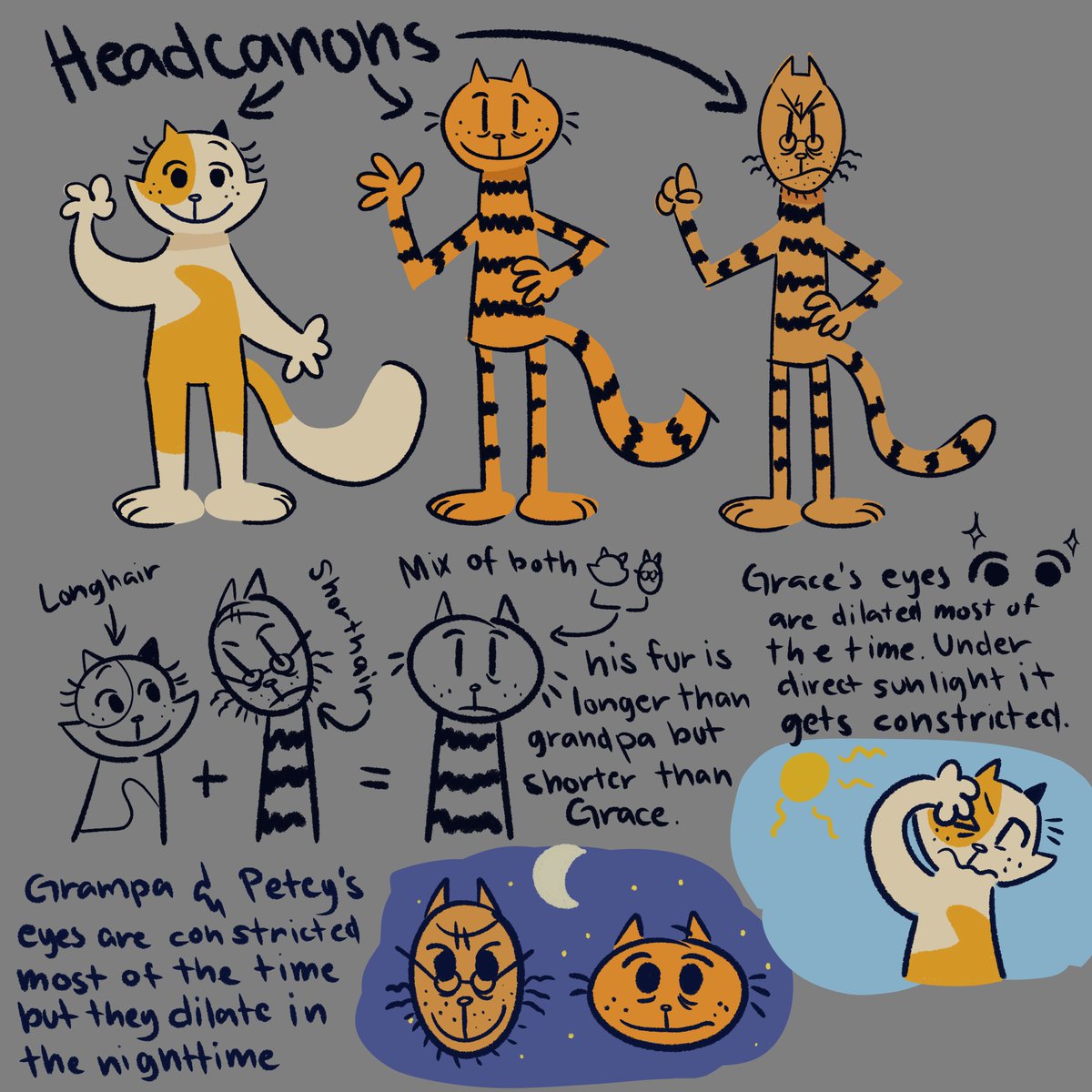 i really really like cats. i'm basically a cat encyclopedia might as well put some into use with these goobies