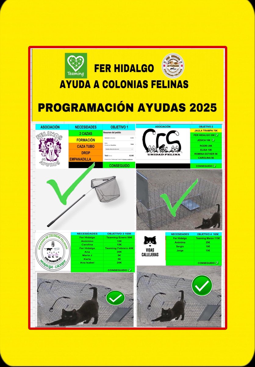 FER HIDALGO AYUDAS COLONIAS FELINAS 🐈🐈🐈 tweet media