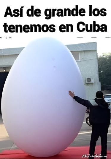 MryRodrguez4's tweet photo. Aquí no se rinde nadie... C! https://t.co/QCEYmhPtk3
