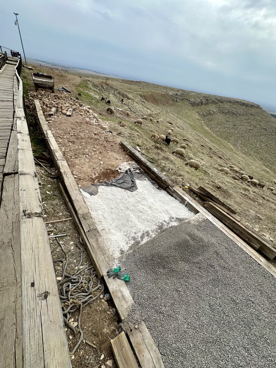 BrightInsight6's tweet image. I took these photos just last week.

📍Brand new sidewalks being constructed ON TOP OF BURIED RUINS at Gobekli Tepe.

Make no mistake, there is NO plan, or intention to fully excavate this site

Fact: 90% of the ancient ruins remain buried