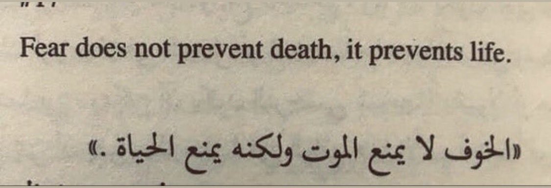 The Death Reader tweet media
