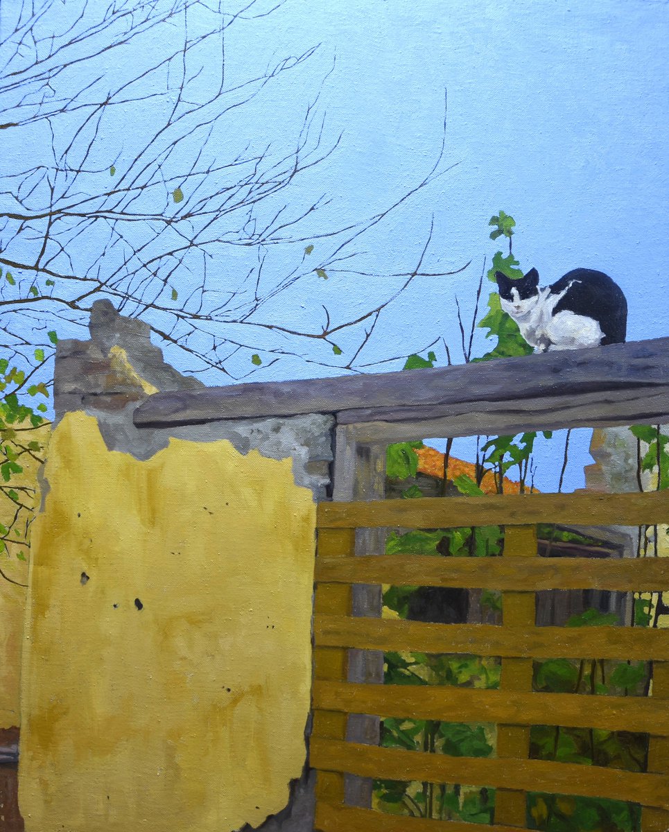 HunAdamoglu's tweet photo. Cat on Yellow Wall II, Oil on Linen, 50 x 40 cm, 2024 #Cat #fineart #oilpainting #figurativeart https://t.co/P8rmAwKqsr