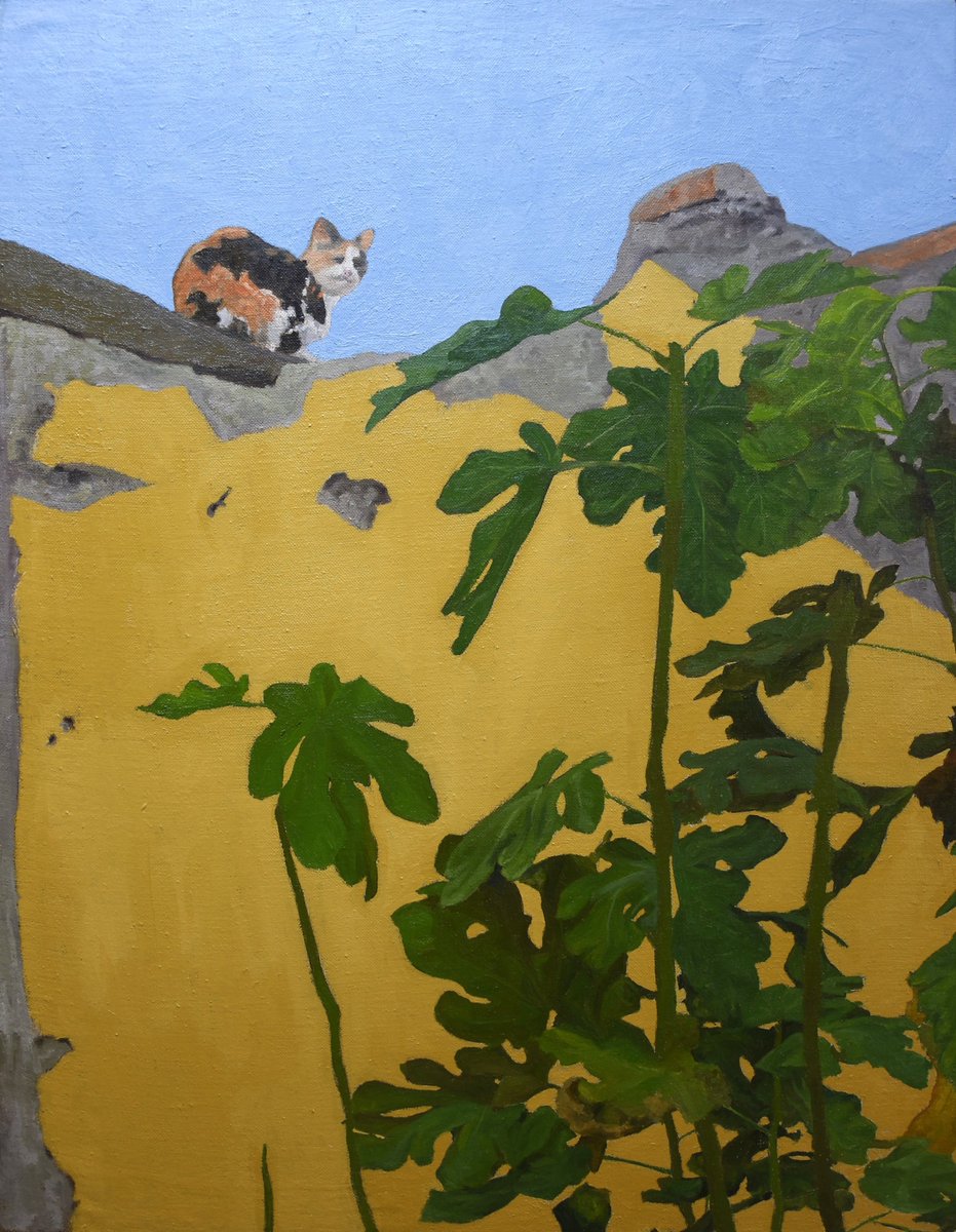 HunAdamoglu's tweet photo. Cat on Yellow Wall I, Oil on Linen, 50 x 40 cm, 2024 #Cat #oilpainting #figurativeart https://t.co/DnRDgF35y0
