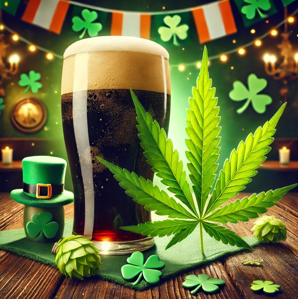 St. Paddy’s is famous for beer, but did you know cannabis and hops are cousins? Both belong to the Cannabaceae family, which explains why some craft beers use terpenes found in cannabis for added flavor! 🍺 #HoppyStPatricksDay
