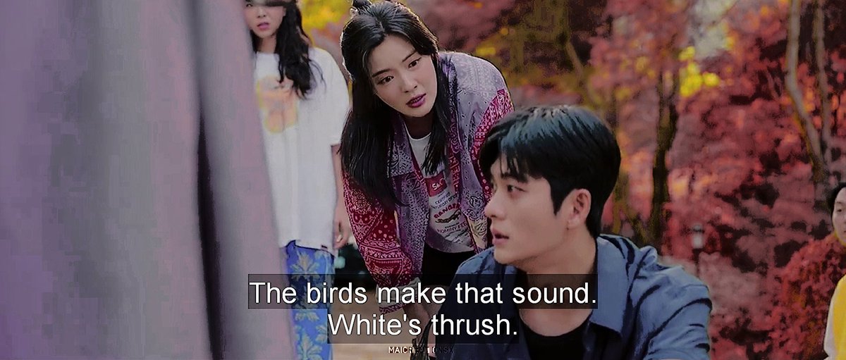 maicreationsx's tweet photo. ong ju casually breaking the fourth wall to give audience trivia about white's thrush - love love love when directors/writers pull this off 🙌🏼😆
#ThePotatoLab
#ThePotatoLabEp5
#감자연구소
#KangTaeOh #강태오
#LeeSunBin #이선빈
#KimGaEun #김가은
#ShinHyeonSeung #신현승 https://t.co/5dkrmUzAsh