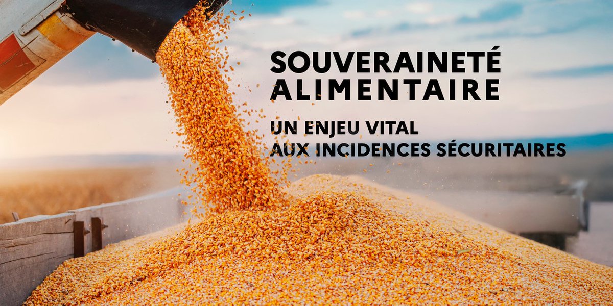IHEDN (@ihedn) on Twitter photo #lundisIHEDN I À l’occasion du sommet international « Nutrition for Growth », que la #France accueille les 27 et 28 mars à Paris, focus sur deux tendances illustrant les conséquences #sécuritaires de l’alimentation : la recherche de la #SouverainetéAlimentaire et les efforts pour #lundisIHEDN I À l’occasion du sommet international « Nutrition for Growth », que la #France accueille les 27 et 28 mars à Paris, focus sur deux tendances illustrant les conséquences #sécuritaires de l’alimentation : la recherche de la #SouverainetéAlimentaire et les efforts pour