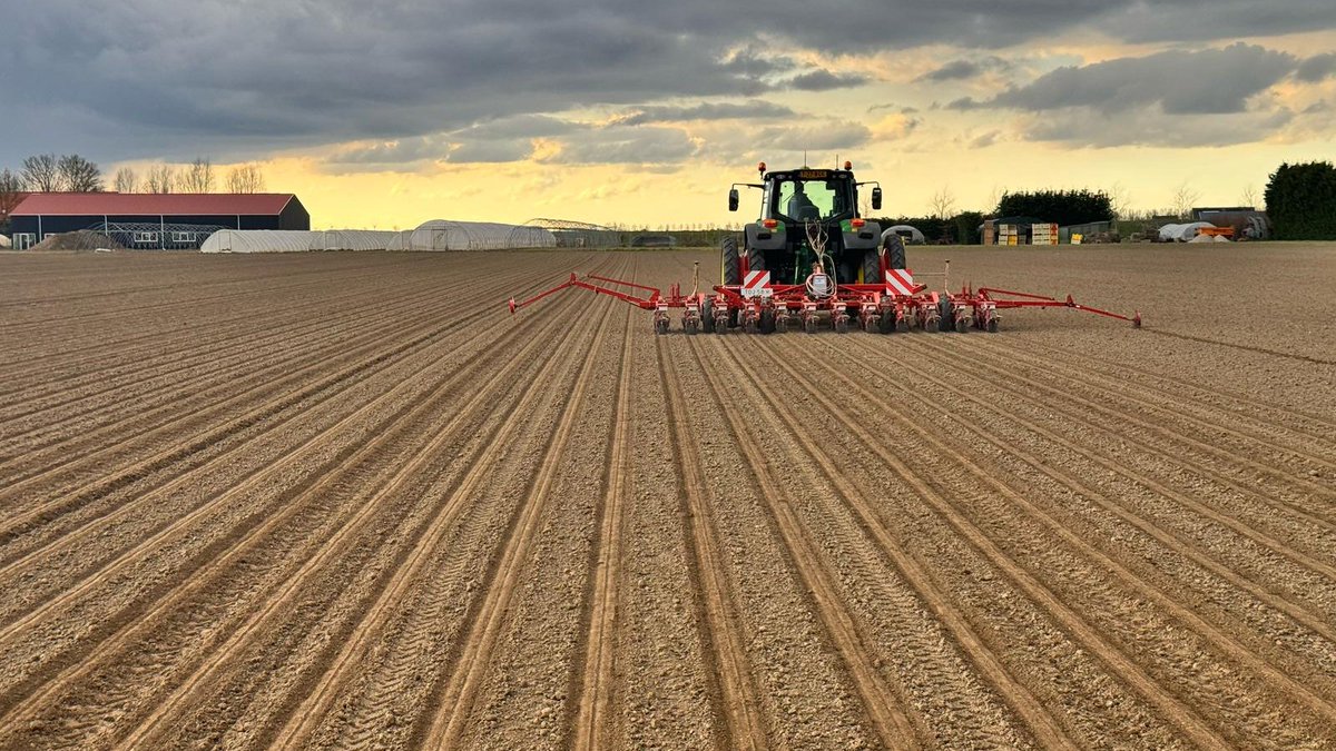 🌱 De eerste cichorei van 2025 is gezaaid! Een prachtig begin van het nieuwe groeiseizoen.

#Duurzaamheid #Cichorei #Landbouw
