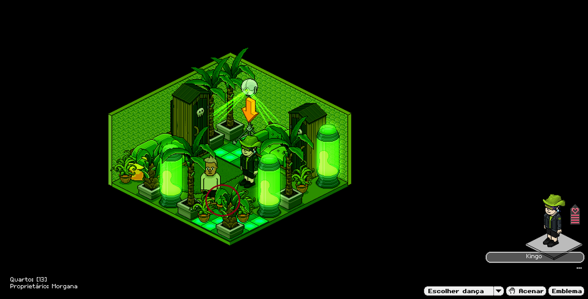 Sergios_HB's tweet photo. os 3 trevos do labirinto #HabboHotelOrigins https://t.co/tANeBoU5wM