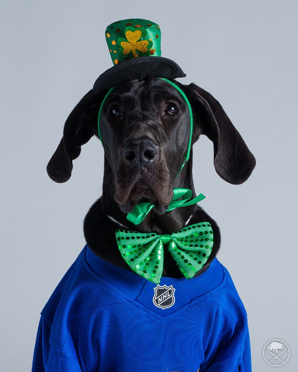 SabresPup's tweet image. Happy St. Paw-trick&apos;s Day, sabrehood! 🍀