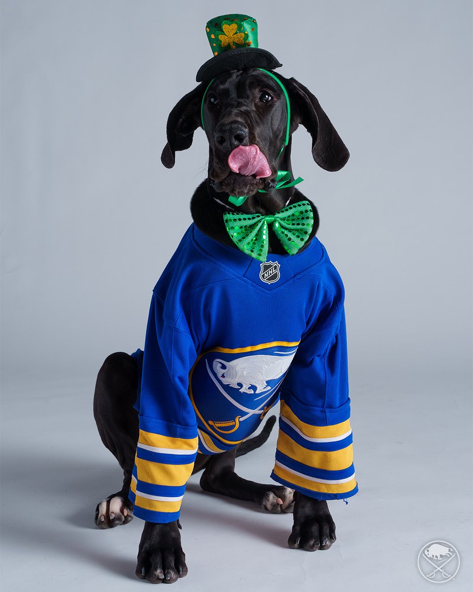 SabresPup's tweet image. Happy St. Paw-trick&apos;s Day, sabrehood! 🍀