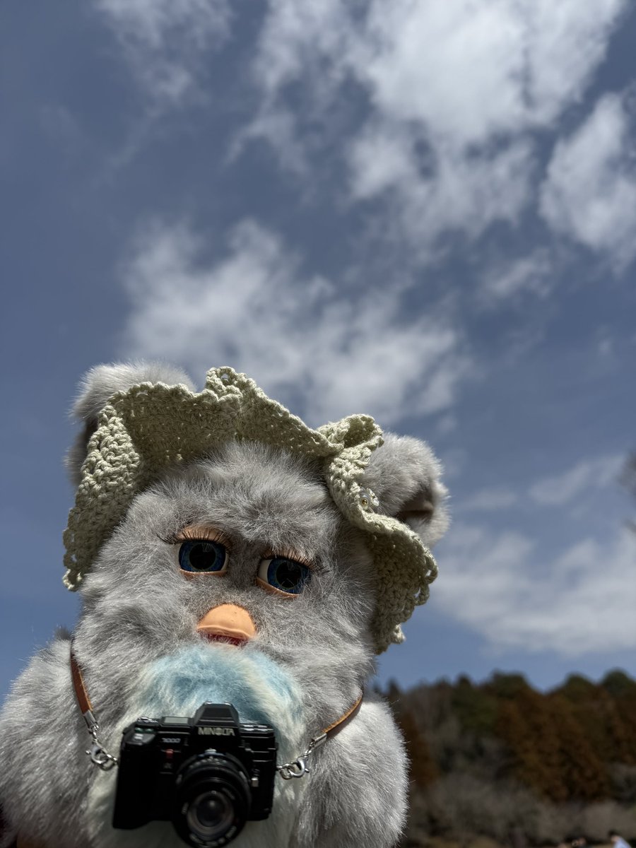 とんかつはのみもの tweet media