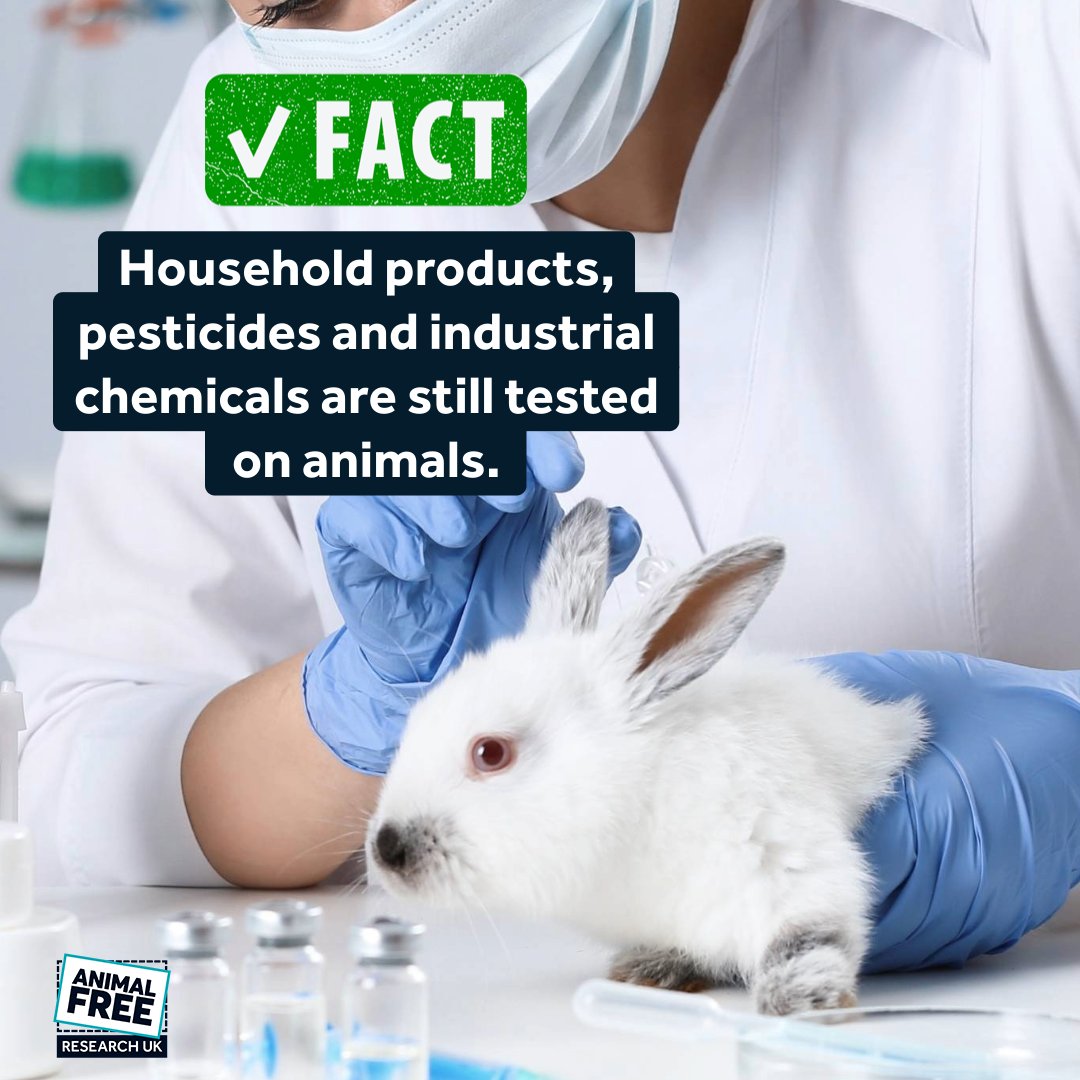 AnimalFreeResearchUK tweet media