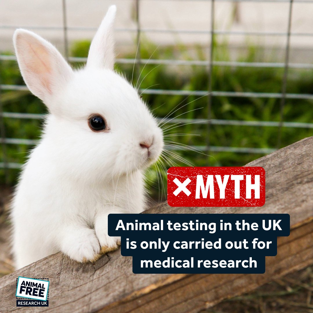 AnimalFreeResearchUK tweet media